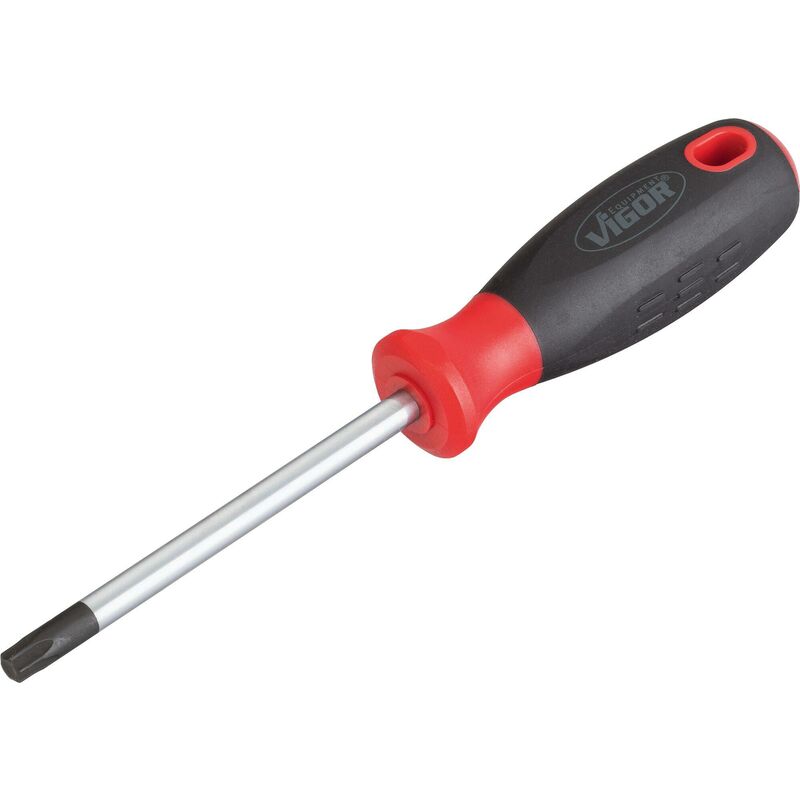 foto del prodotto t screwdriver v3393 profilo interno torx size t40