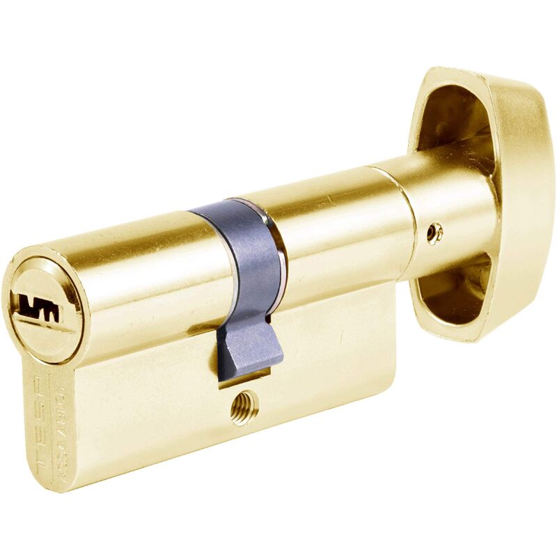 foto del prodotto t65b3040l cilindro di sicurezza standard t60, placcato in ottone, chiave 30 x 40 mm, pulsante a camma lungo tesa assa abloy