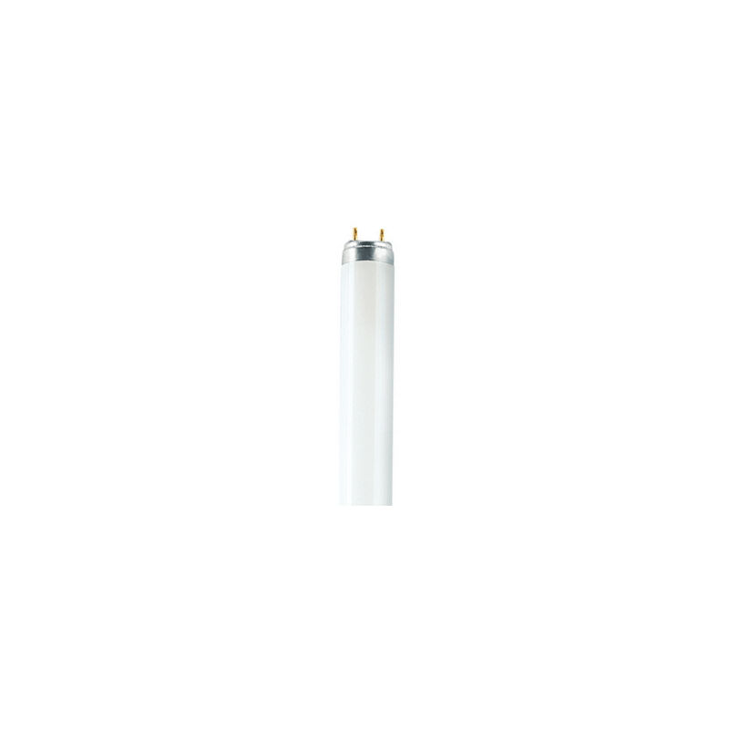foto del prodotto t8 active l lampada fluorescente 18 w g13 bianco freddo osram