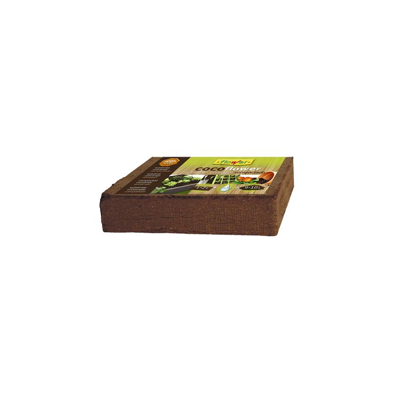 foto del prodotto taco di coco flower sottostato floreale taco 9 l