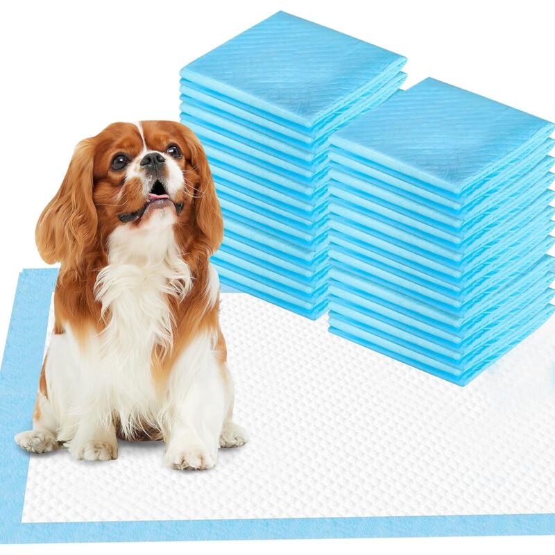 foto del prodotto tappetini per l addestramento del vasino per cani ultra assorbenti tappetini per l addestramento degli animali domestici tappetini per