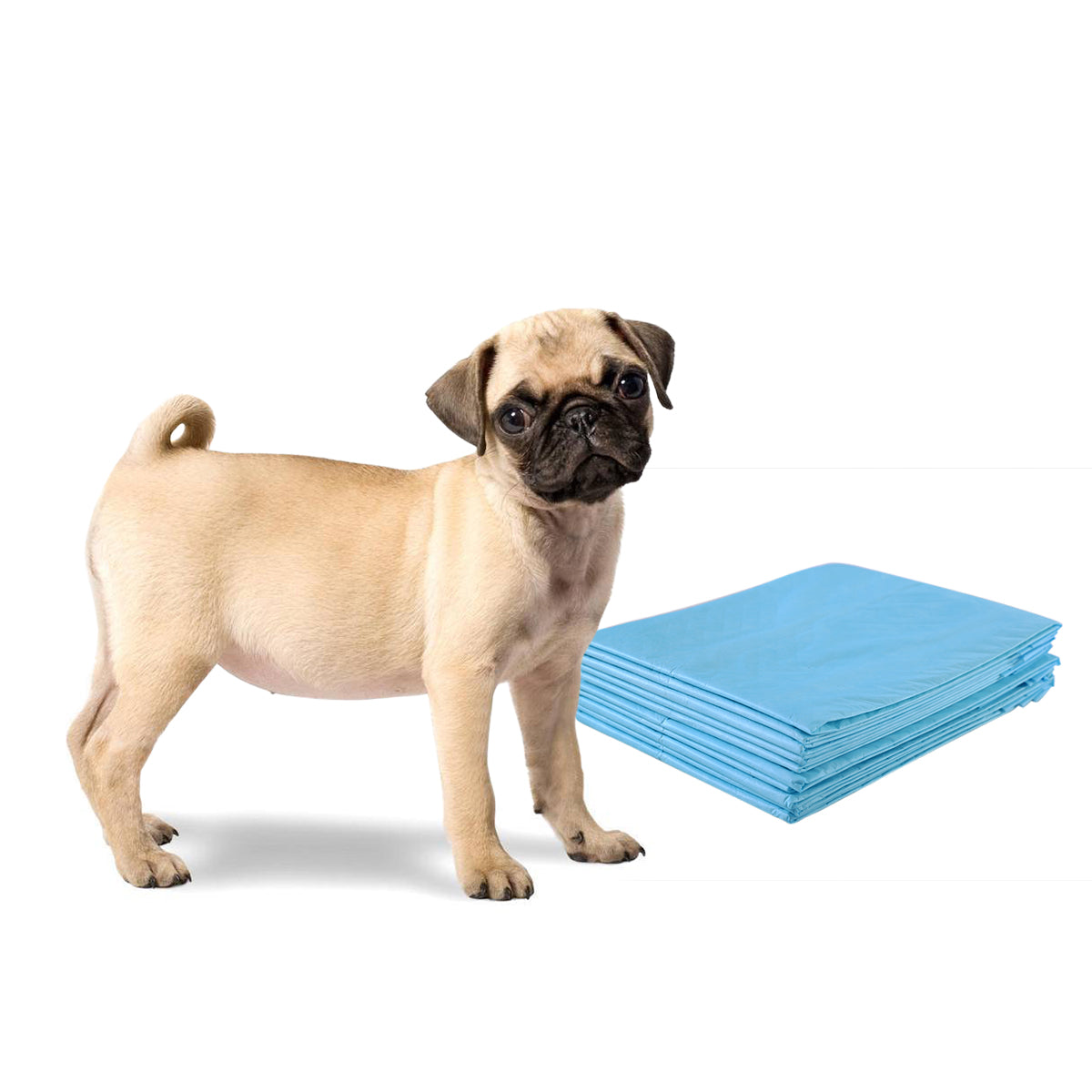 foto del prodotto tappetino addestramento cuccioli 5 strati set da 100 tappetini assorbenti per animali 60x60 cm 20 0006602