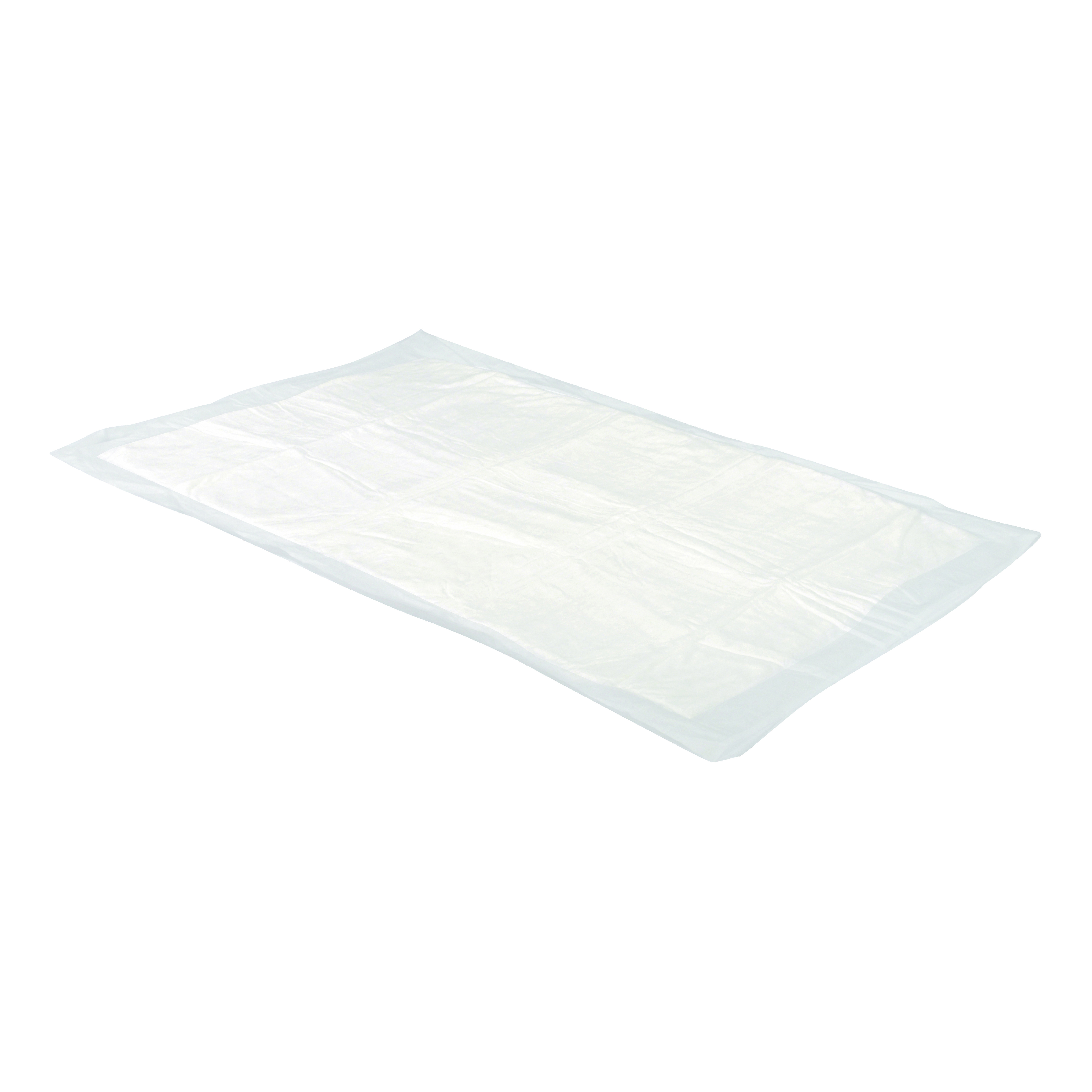 foto del prodotto tappetino assorbente cani 60x60 25 pezzi