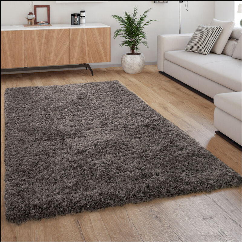 foto del prodotto tappeto a pelo alto morbido moderno shaggy stile flokati accogliente tinta unita antracite 60x90 cm paco home