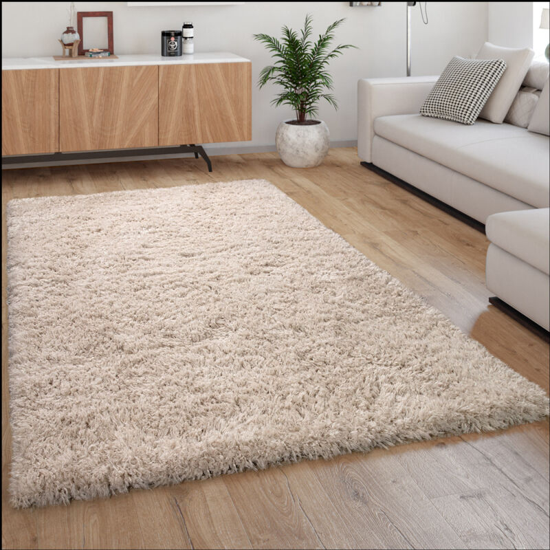 foto del prodotto tappeto a pelo alto morbido moderno shaggy stile flokati accogliente tinta unita in beige 80x150 cm - paco home