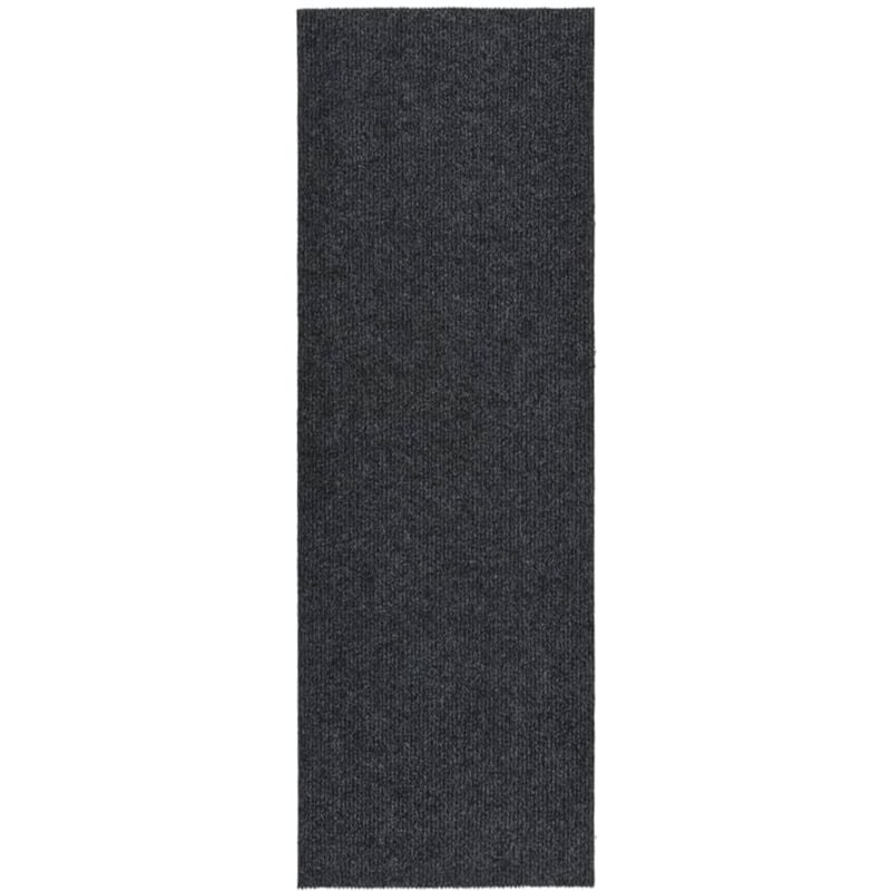 foto del prodotto tappeto corsia acchiappa polvere 100x300 cm antracite - vidaxl