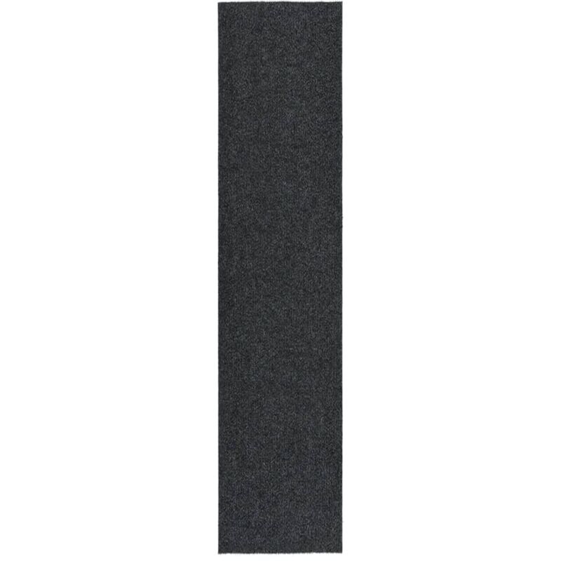 foto del prodotto tappeto corsia acchiappa polvere 100x450 cm antracite vidaxl