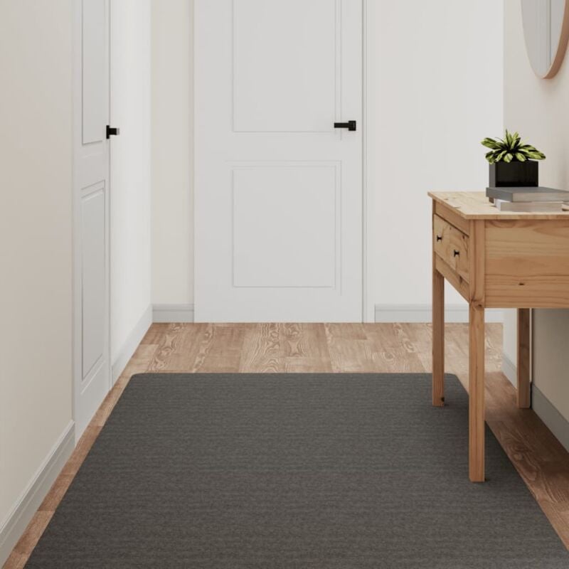 foto del prodotto tappeto corsia antracite 100x180 cm vidaxl