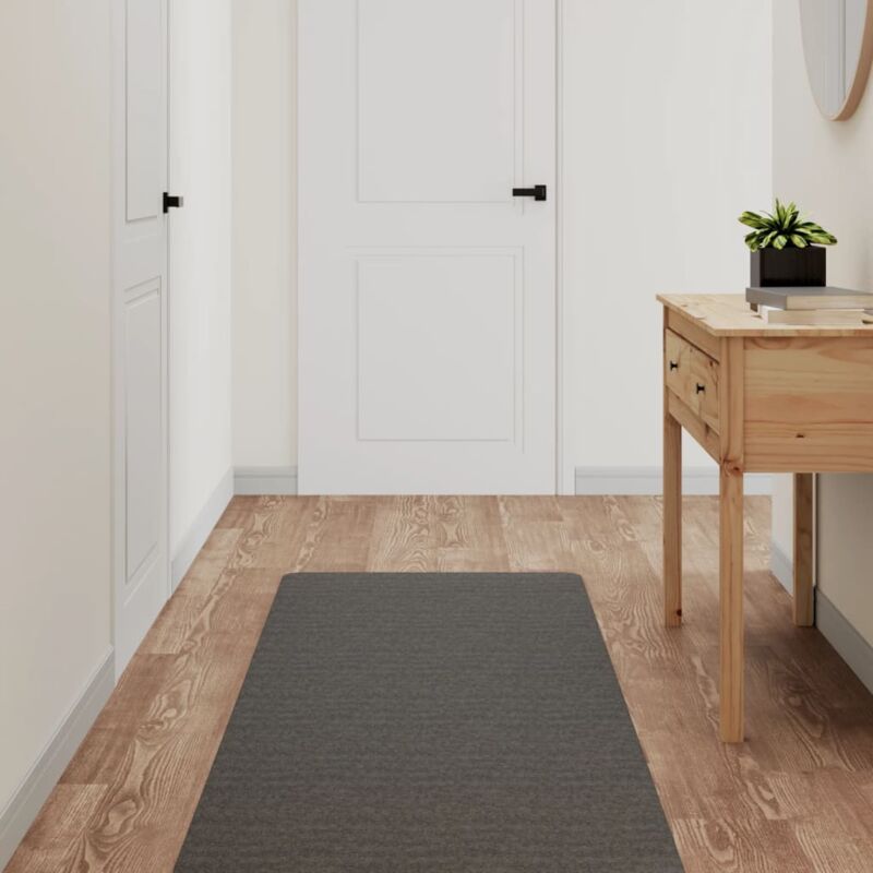 foto del prodotto tappeto corsia antracite 60x180 cm vidaxl