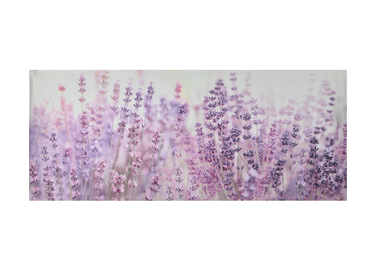 foto del prodotto tappeto cucina antiscivolo stampa digitale emozioni fantasia lavanda selvatica by suardi 58x115 lavanda selvatica