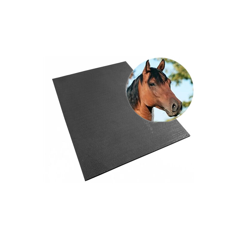 foto del prodotto tappeto in gomma per stalle 90x120 cm 17 mm
