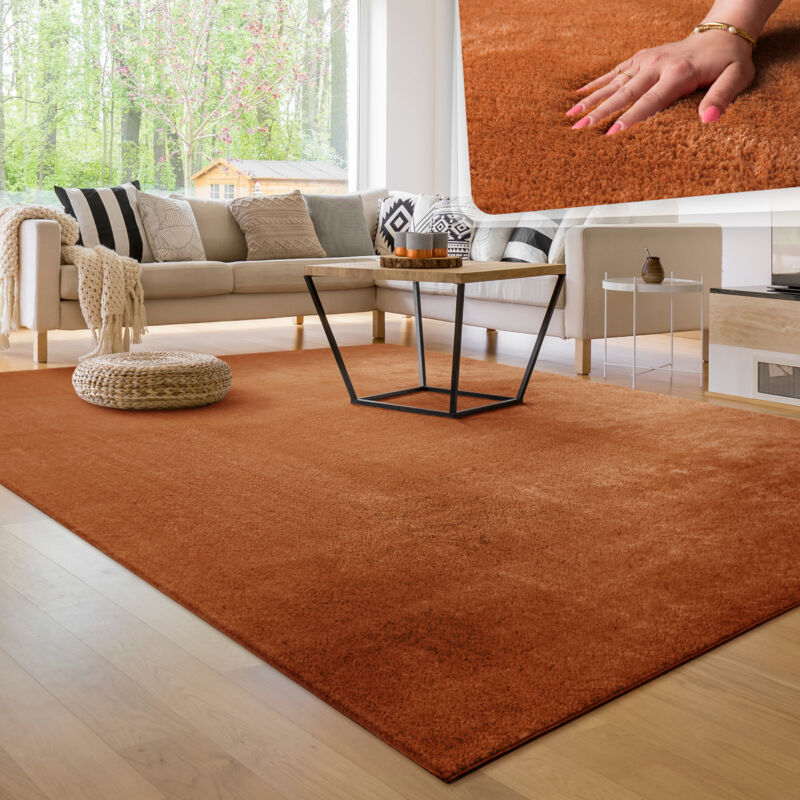 foto del prodotto tappeto moderno per soggiorno a pelo corto lavabile morbido uni effetto pelliccia antiscivolo 100x200 cm, rame paco home