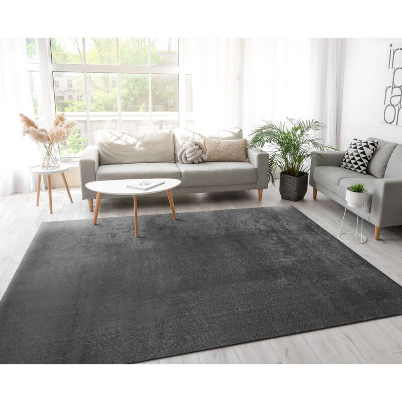 foto del prodotto tappeto moderno per soggiorno a pelo corto lavabile morbido uni effetto pelliccia antiscivolo 120x170 cm, antracite paco home