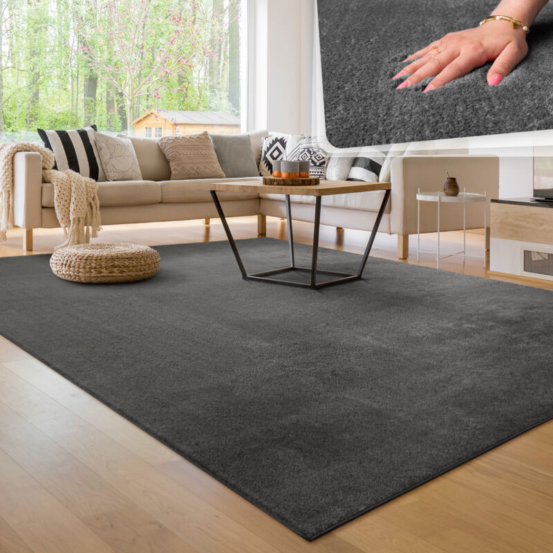 foto del prodotto tappeto moderno per soggiorno a pelo corto lavabile morbido uni effetto pelliccia antiscivolo 140x200 cm, antracite paco home