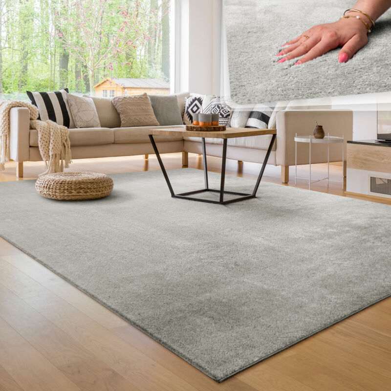 foto del prodotto tappeto moderno per soggiorno a pelo corto lavabile morbido uni effetto pelliccia antiscivolo 200x280 cm, argento paco home