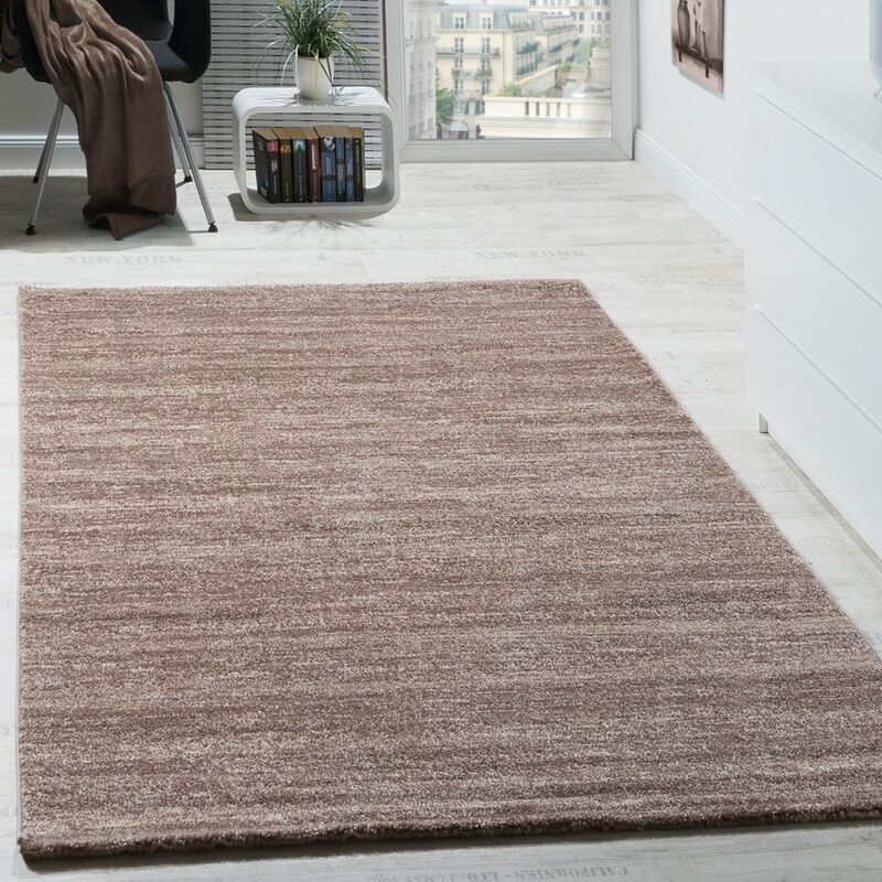 foto del prodotto tappeto moderno soggiorno pelo corto comodo conveniente m lange in beige 60x100 cm paco home