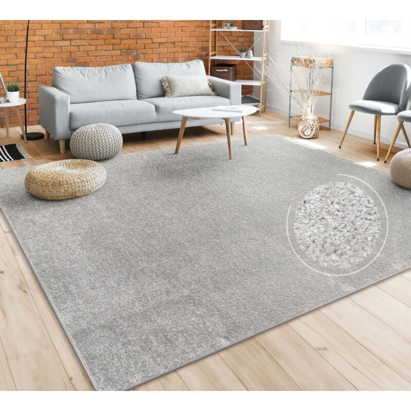 foto del prodotto tappeto pelo corto lavabile, monocolore semplice e moderno, div. misure e colori 120x170 cm, argento paco home