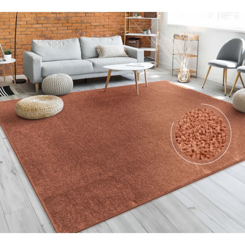 foto del prodotto tappeto pelo corto lavabile, monocolore semplice e moderno, div. misure e colori 80x150 cm, rame paco home