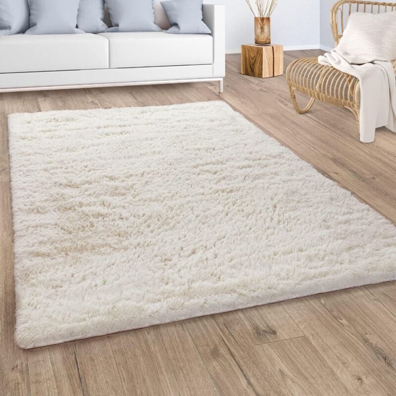 foto del prodotto tappeto pelo lungo salotto moderno shaggy tappeto pelliccia sintetica crema beige 80x150 cm paco home