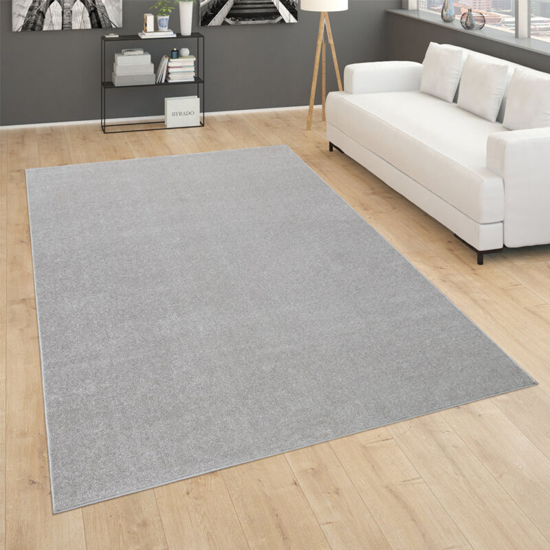 foto del prodotto tappeto per soggiorno tinta unita pelo corto semplice e moderno, in argento 200 cm quadrato paco home