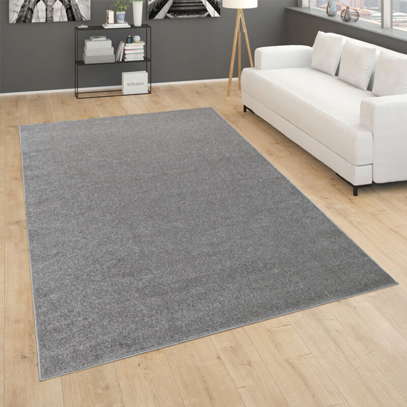 foto del prodotto tappeto per soggiorno tinta unita pelo corto semplice e moderno, in grigio scuro 120x170 cm paco home