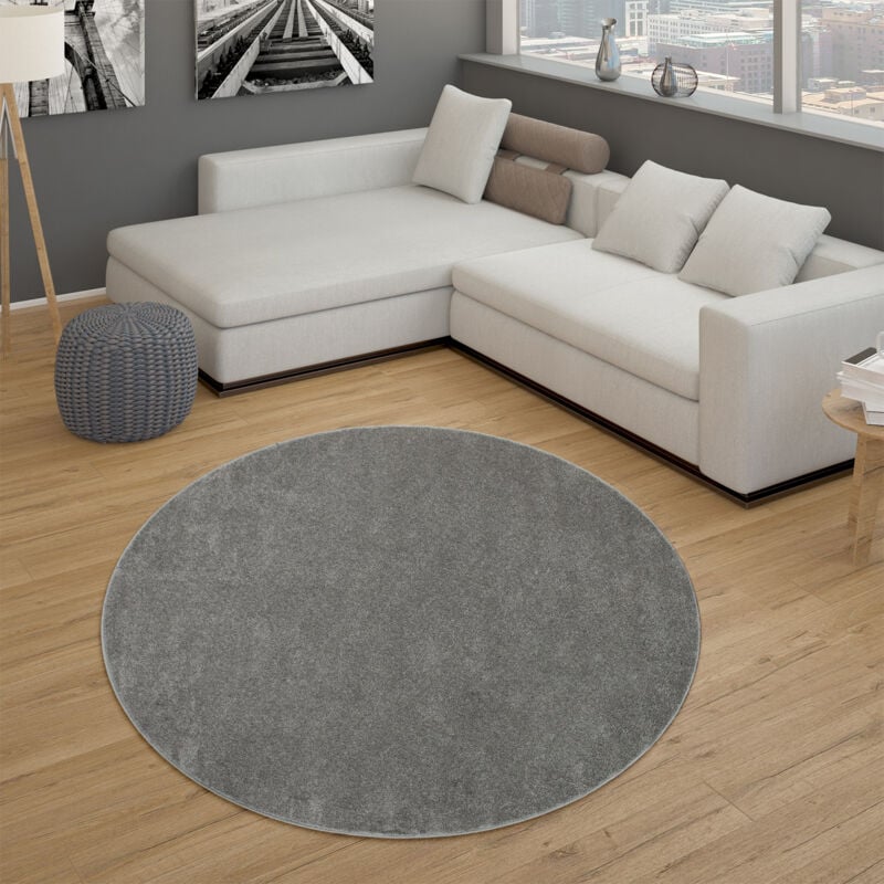 foto del prodotto tappeto per soggiorno tinta unita pelo corto semplice e moderno, in grigio scuro 160 cm tondo paco home