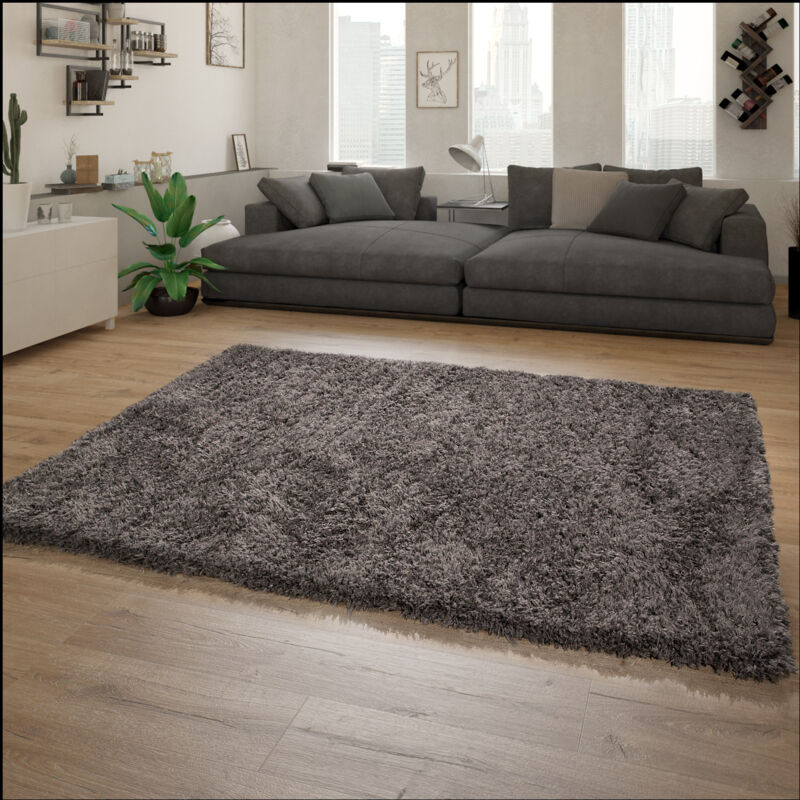 foto del prodotto tappeto salotto a pelo lungo, shaggy pelo lungo moderno motivo monocolore 200x290 cm, antracite paco home
