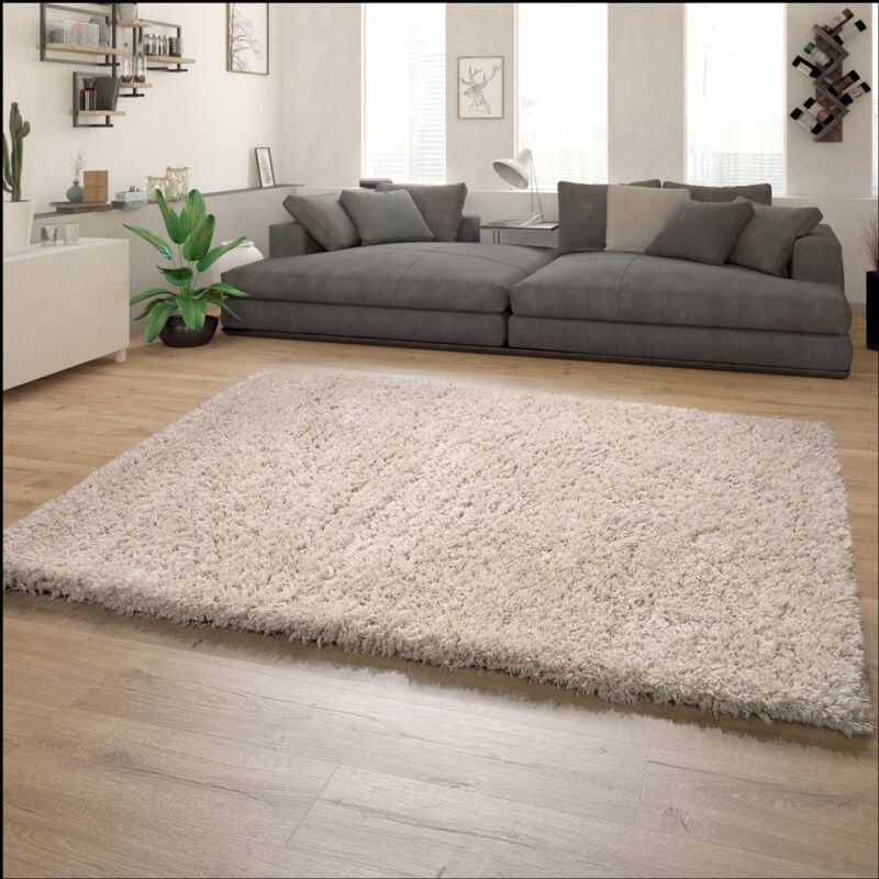 foto del prodotto tappeto salotto a pelo lungo, shaggy pelo lungo moderno motivo monocolore 80x150 cm, beige paco home