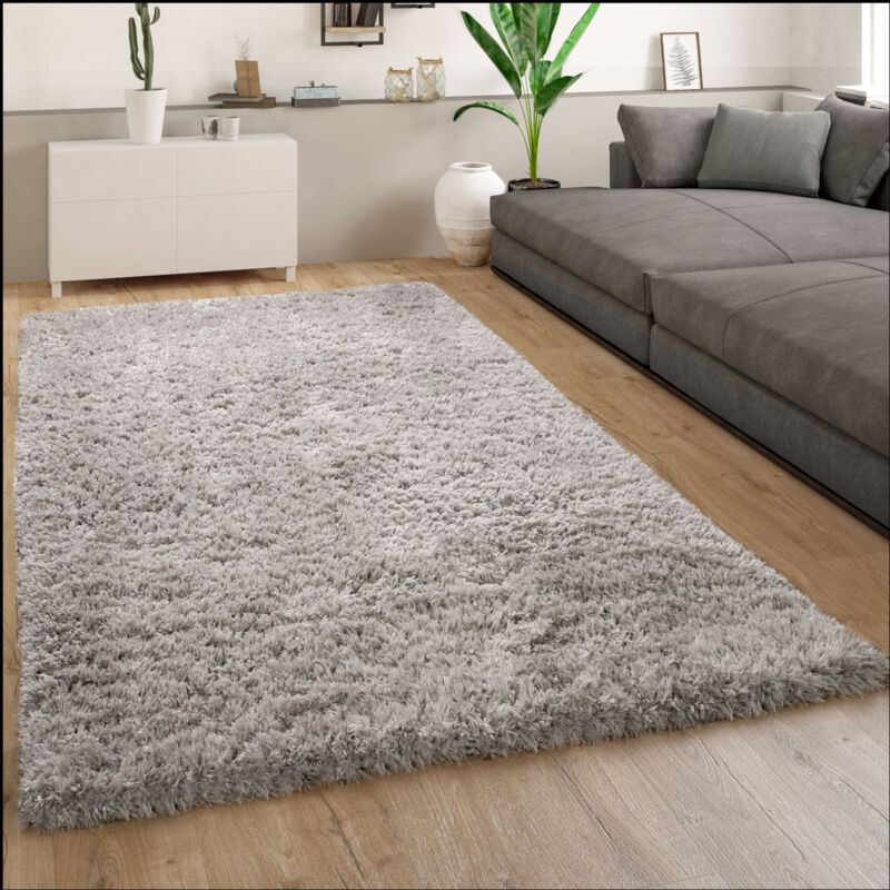 foto del prodotto tappeto salotto a pelo lungo, shaggy pelo lungo moderno motivo monocolore grigio, 200 cm quadrato paco home