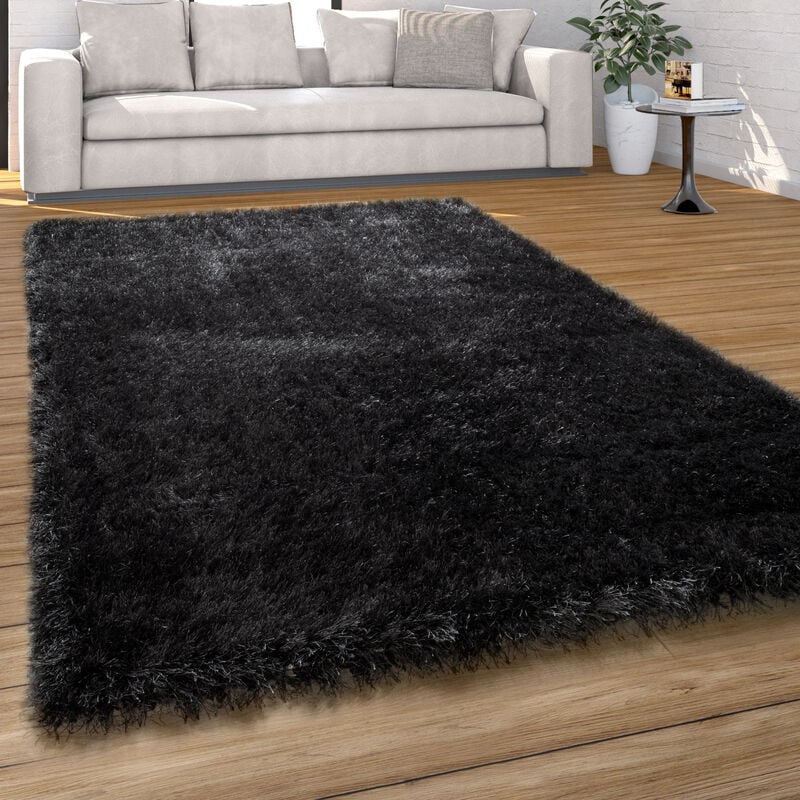 foto del prodotto tappeto salotto moderno soggiorno pelo lungo monocolore peloso moderno 120x170 cm, antracite paco home