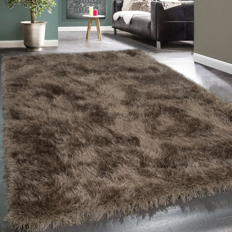 foto del prodotto tappeto salotto moderno soggiorno pelo lungo monocolore peloso moderno 120x170 cm, beige paco home
