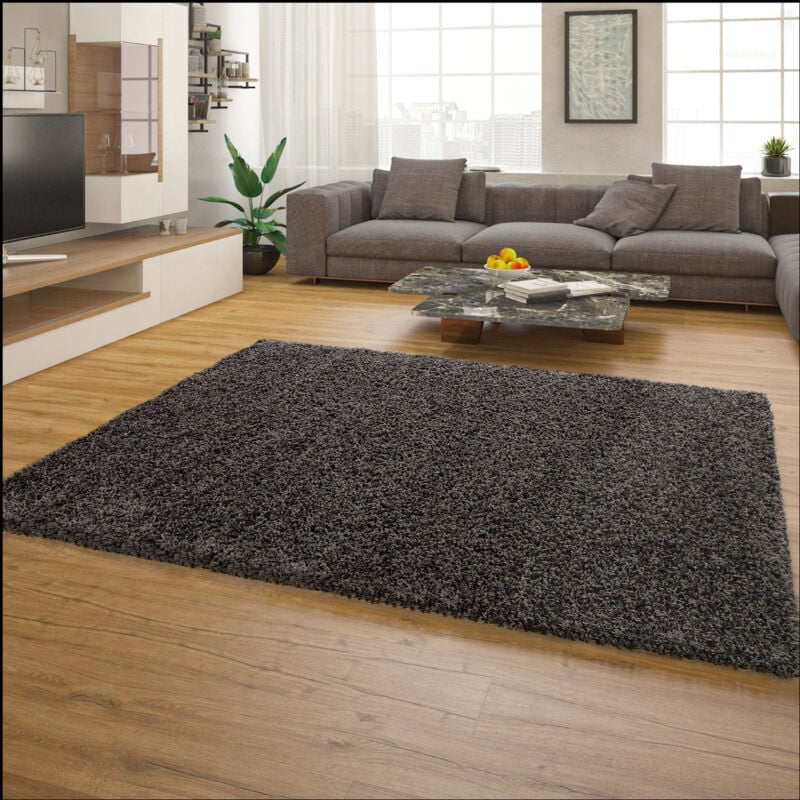 foto del prodotto tappeto salotto moderno soggiorno pelo lungo peloso monocolore moderno morbido 120x170 cm, antracite paco home