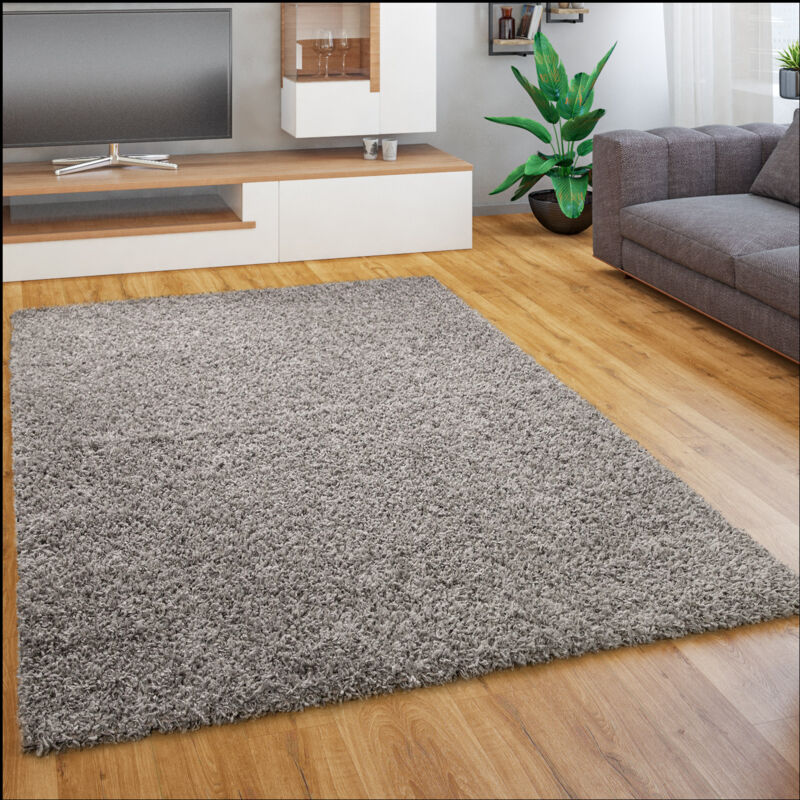 foto del prodotto tappeto salotto moderno soggiorno pelo lungo peloso monocolore moderno morbido 120x170 cm, grigio paco home