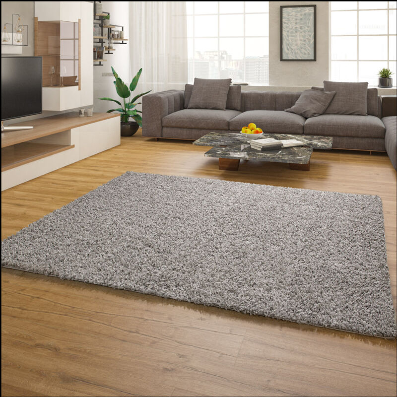foto del prodotto tappeto salotto moderno soggiorno pelo lungo peloso monocolore moderno morbido 160x220 cm, grigio paco home