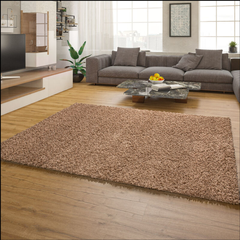 foto del prodotto tappeto salotto moderno soggiorno pelo lungo peloso monocolore moderno morbido 190x280 cm, beige paco home