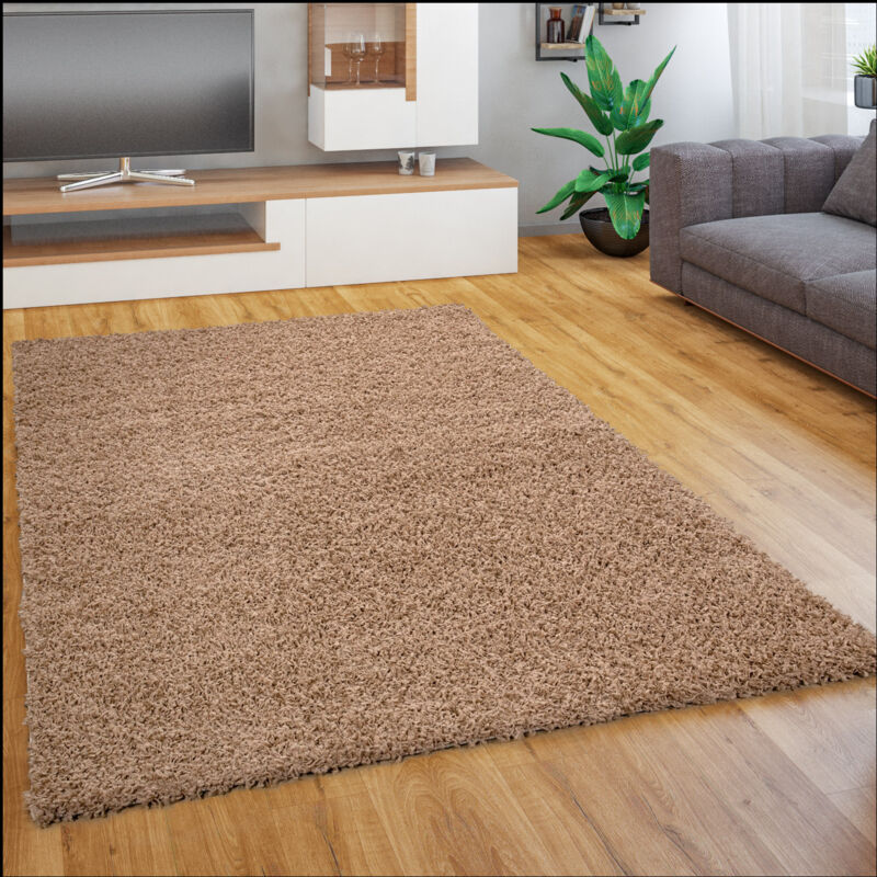 foto del prodotto tappeto salotto moderno soggiorno pelo lungo peloso monocolore moderno morbido 60x100 cm, beige - paco home