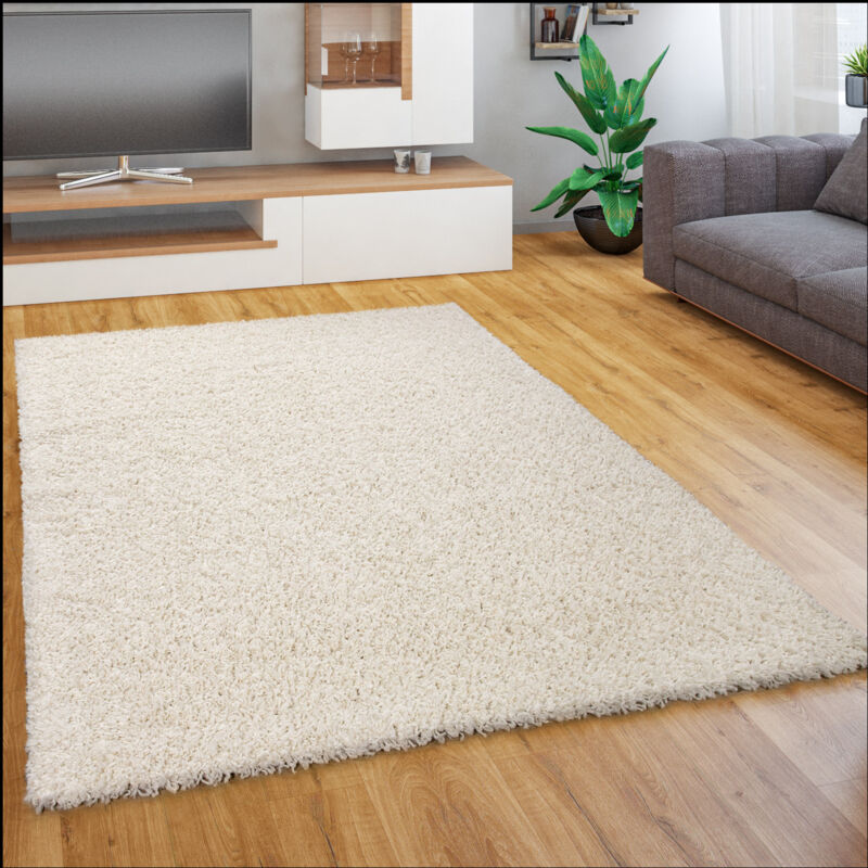 foto del prodotto tappeto salotto moderno soggiorno pelo lungo peloso monocolore moderno morbido 80x150 cm, avorio (crema) - paco home