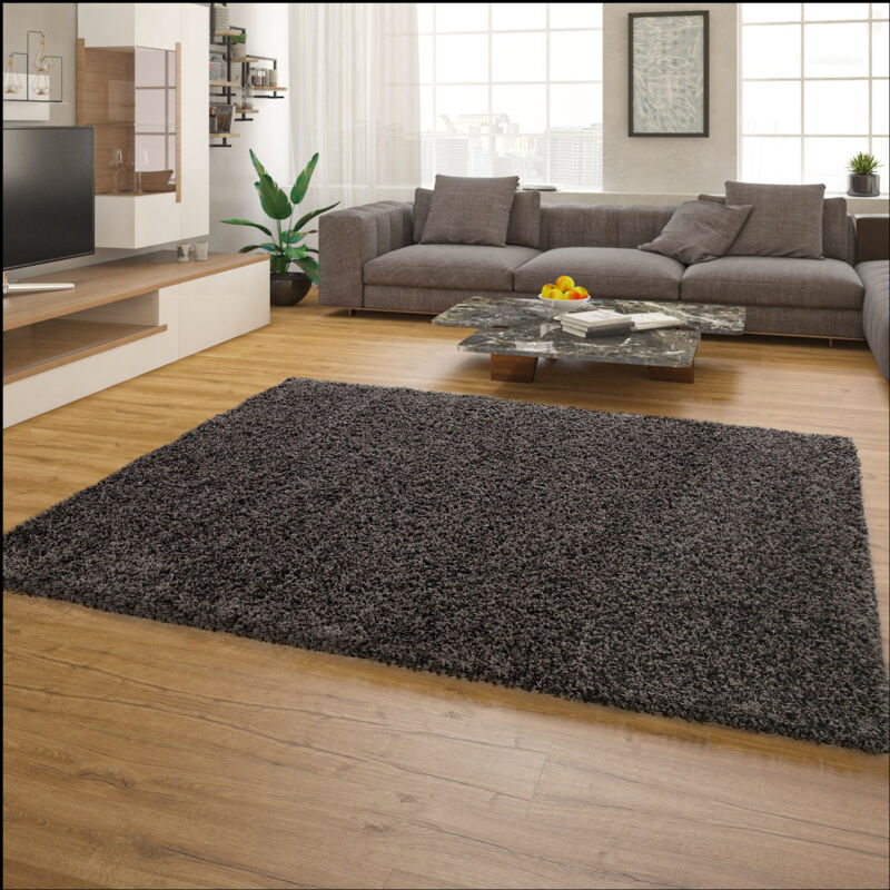 foto del prodotto tappeto salotto moderno soggiorno pelo lungo peloso monocolore moderno morbido antracite, 200 cm quadrato paco home