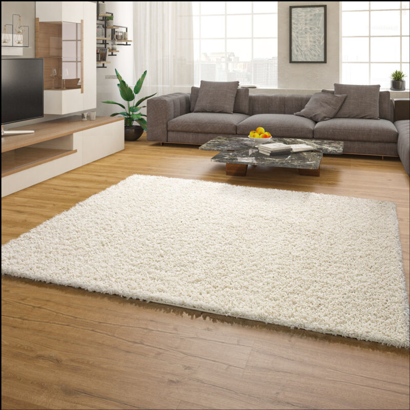 foto del prodotto tappeto salotto moderno soggiorno pelo lungo peloso monocolore moderno morbido avorio crema , 70x140 cm paco home