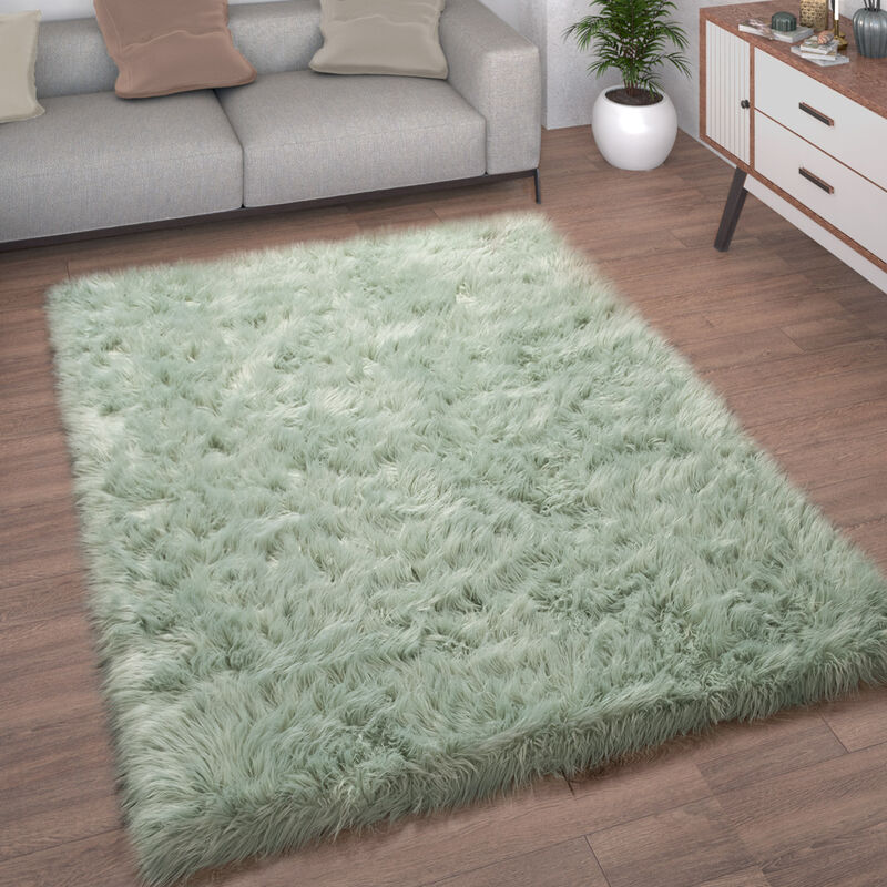 foto del prodotto tappeto salotto pelliccia finta imitazione pelo lungo cuscino cuore rotondo 120 cm tondo, verde menta paco home