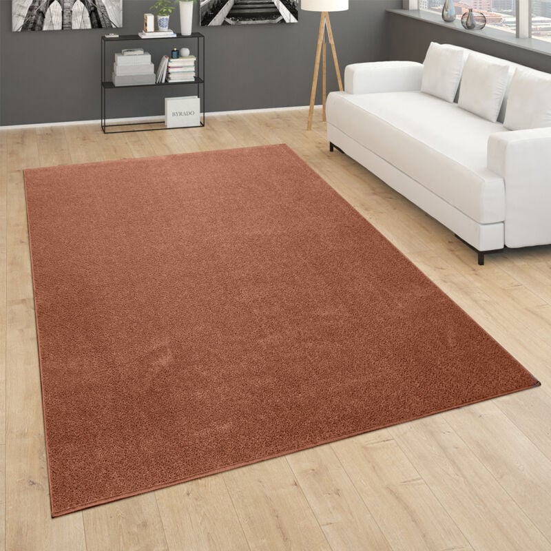foto del prodotto tappeto salotto pelo corto camera da letto moderno monocolore marrone rosso 80x150 cm paco home