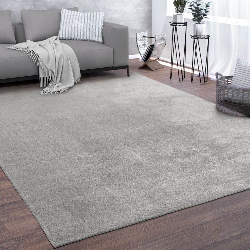 foto del prodotto tappeto salotto pelo corto lavabile monocolore moderno morbido argento 200 cm quadrato paco home