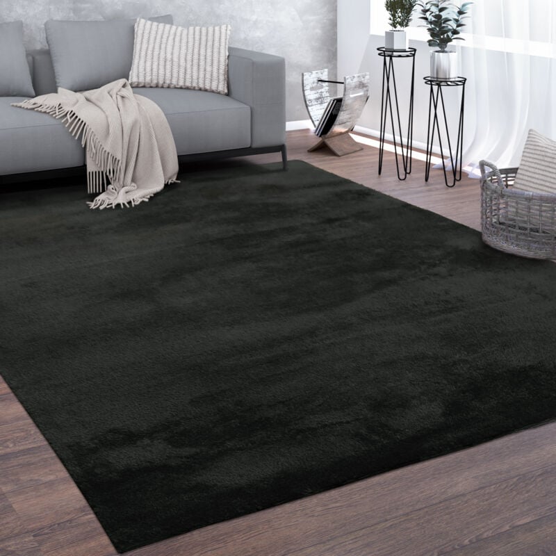 foto del prodotto tappeto salotto pelo corto lavabile monocolore moderno morbido nero 160x220 cm paco home