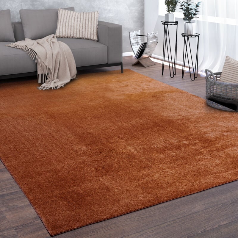 foto del prodotto tappeto salotto pelo corto lavabile monocolore moderno morbido rame 100x200 cm paco home