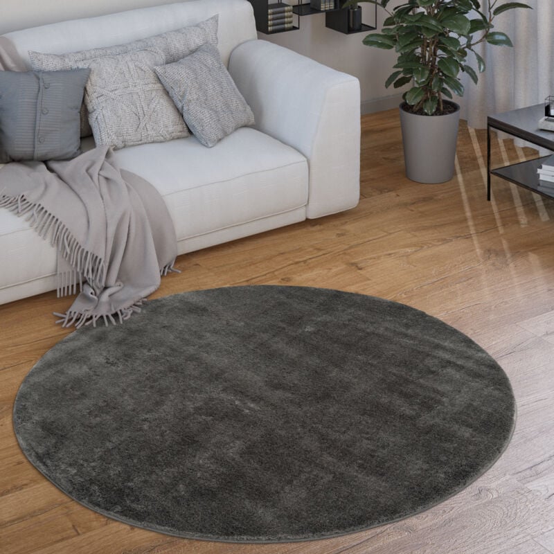 foto del prodotto tappeto salotto pelo corto rotondo moderno morbido lavabile monocolore antracite, 160 cm tondo paco home