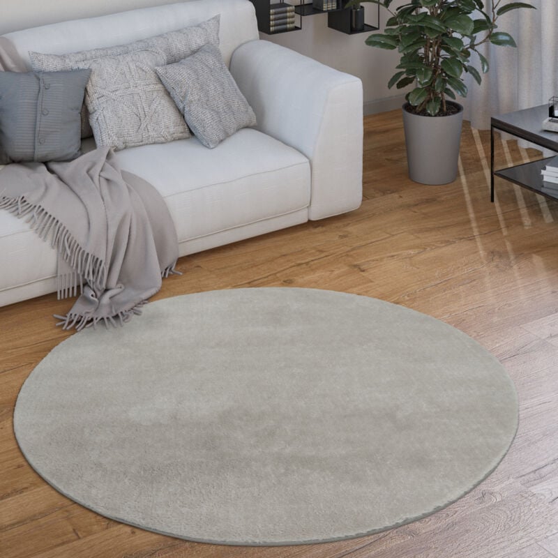 foto del prodotto tappeto salotto pelo corto rotondo moderno morbido lavabile monocolore argento, 80 cm tondo paco home