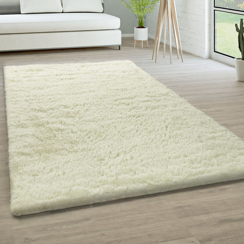 foto del prodotto tappeto salotto pelo lungo soggiorno pelliccia finta shaggy morbido monocolore 160x220 cm, bianco paco home