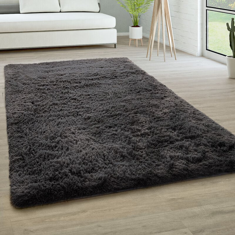 foto del prodotto tappeto salotto pelo lungo soggiorno pelliccia finta shaggy morbido monocolore 60x100 cm, antracite paco home