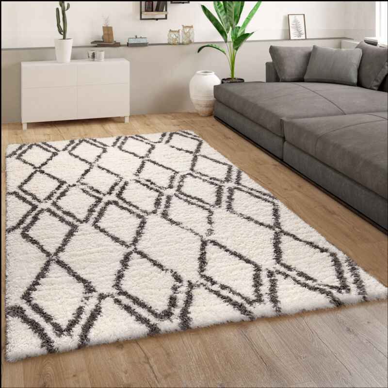 foto del prodotto tappeto salotto pelo lungo tappeto shaggy vintage motivo scandinavo grigio crema 80x150 cm paco home