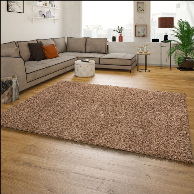 foto del prodotto tappeto shaggy a pelo alto a pelo lungo tappeto a tinta unita in beige 120x170 cm paco home